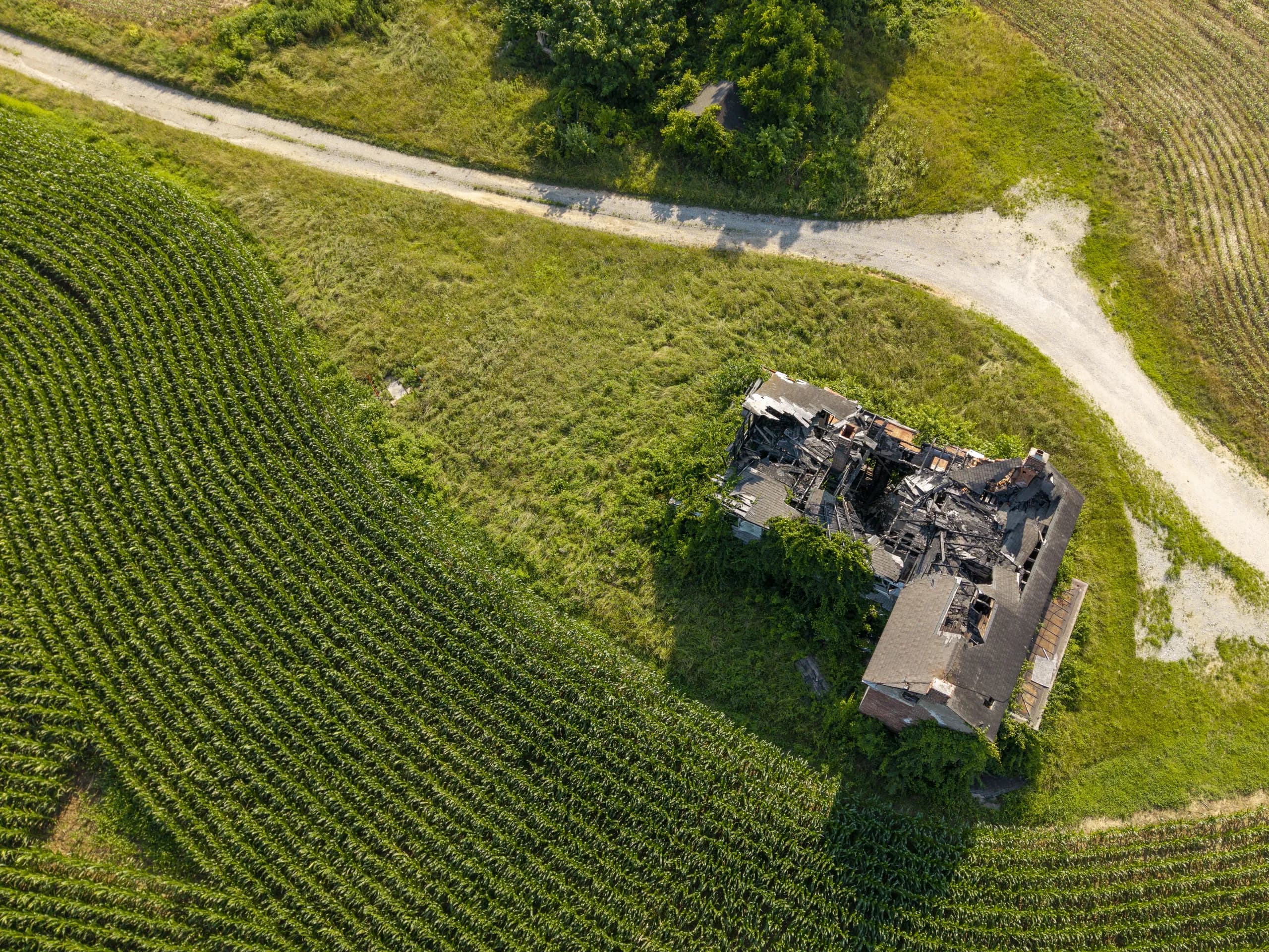 Near-overhead aerial view of a fire-destroyed brick farmhouse at the edge of a cornfield, the roof burnt through and the framing exposed